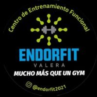 Logotipo de Endorfit